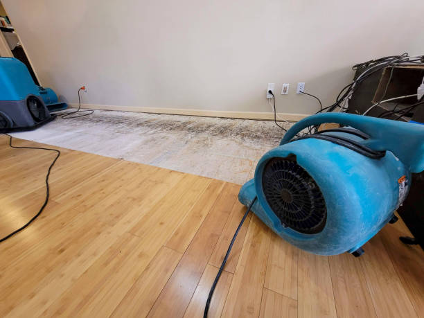 Professional Structural Drying technician working in Island Lake, IL